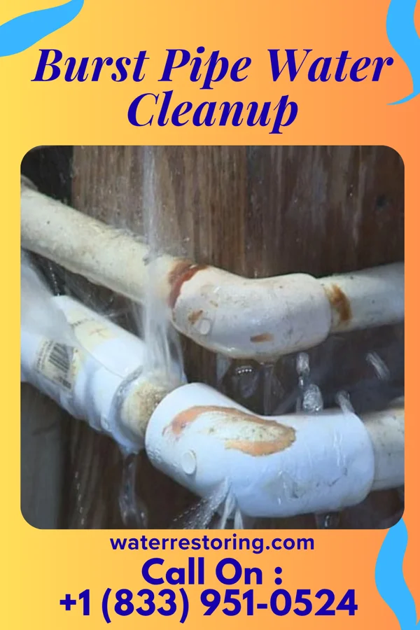 Burst Pipe Water Cleanup in Oak Beach, NY