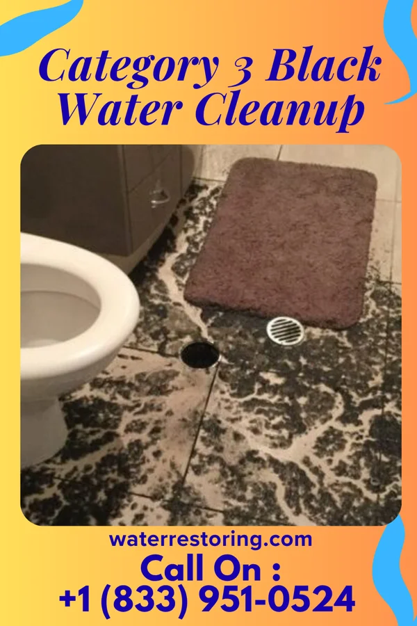 Category 3 Black Water Cleanup in Oak Beach, NY