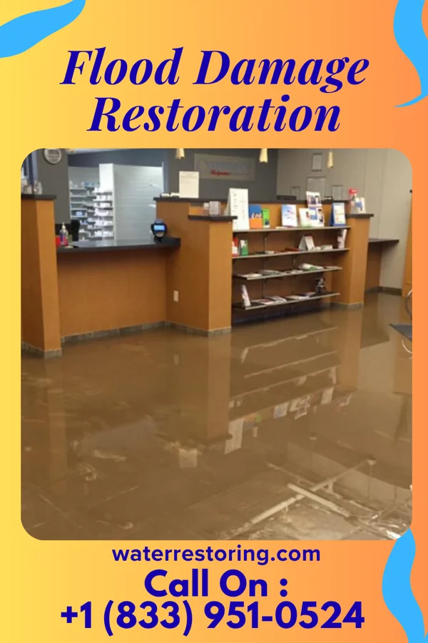 Flood Damage Restoration in Oak Beach, NY
