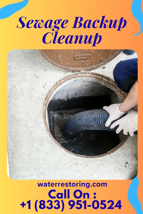 Sewage Backup Cleanup in Oak Beach, NY