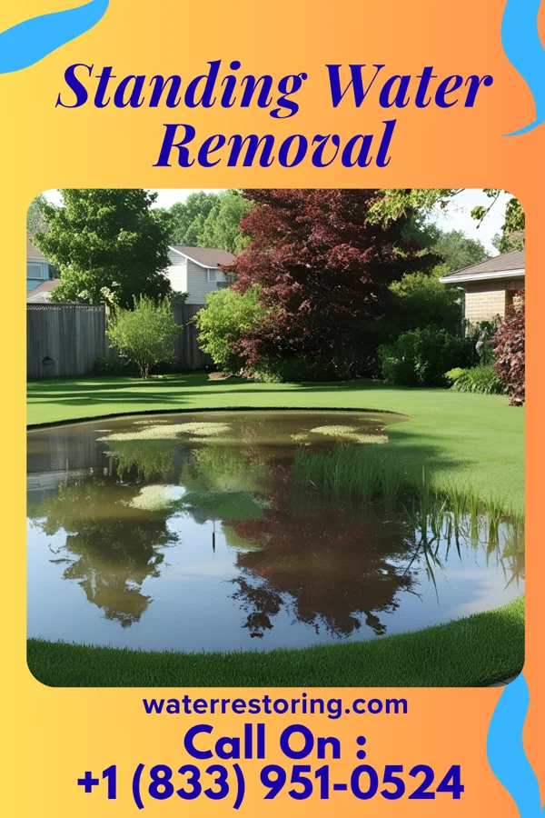 Standing Water Removal in Oak Beach, NY